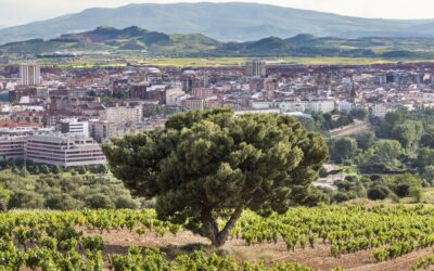 OASC Spain: Logroño Joins the Network