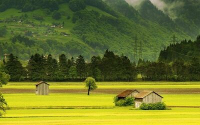 New Project Launched to Connect Smart Regions and Communities