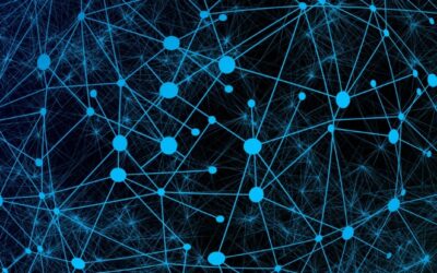 OASC Welcomes 8 New Members and Partners to the Network